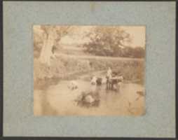 Free download [Three Children and a Dog Playing in the Creek, July 4, 1883] free photo or picture to be edited with GIMP online image editor